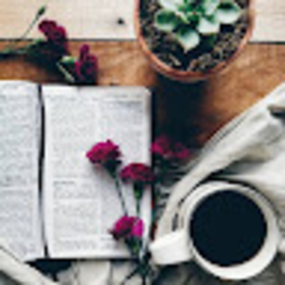 Meet your Posher, Theresa - Picture 1 of 1